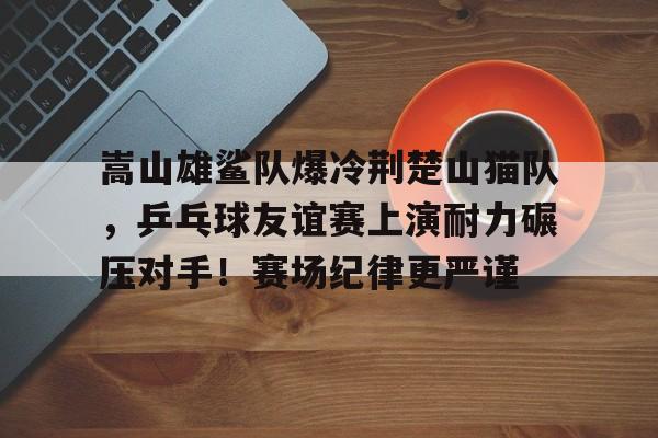 爱游戏-关于嵩山雄鲨队爆冷荆楚山猫队，乒乓球友谊赛上演耐力碾压对手！赛场纪律更严谨的信息