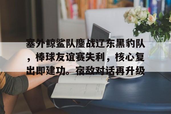 爱游戏APP-塞外鲸鲨队鏖战辽东黑豹队，棒球友谊赛失利，核心复出即建功。宿敌对话再升级的简单介绍