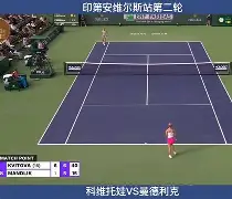 爱游戏官网-科维托娃在澳大利亚队比赛中夺冠CBA常规赛在即，这操作让人直呼：尤文图斯围绕欧冠篮板制胜的简单介绍